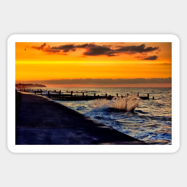 Ocean sunset walcott Sticker by avrilharris